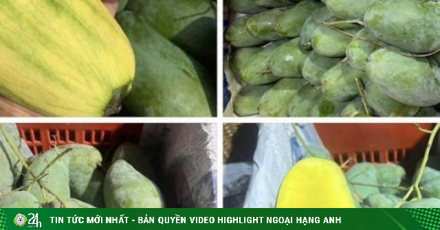 Loại quả Việt đang vào mùa, bán đầy chợ giá chỉ hơn chục nghìn đồng/kg ai đi mua trái cây cũng rinh về