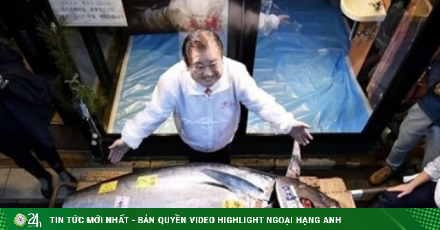 Con cá ngừ vây xanh giá hơn 3 triệu USD