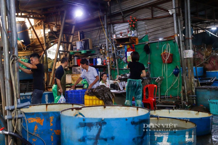 Ghi nhận thực tế ngày 20/4 cho thấy, tình trạng nhếch nhác, ô nhiễm ở đây tới mức đáng báo động. Các ki-ốt phần lớn do tiểu thương tự chắp vá bằng vật liệu tạm, nay đều xuống cấp nghiêm trọng.