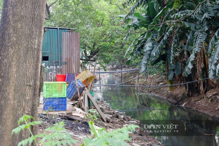 Ngay cạnh chợ cá Yên Sở là con mương nước đen ngòm, bốc mùi hôi thối và đe dọa nghiêm trọng đến vệ sinh an toàn thực phẩm.