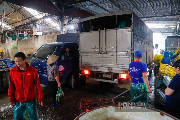 UBND phường Hoàng Mai﻿ cho biết, theo kế hoạch, trước ngày 30/4, phường sẽ giải tỏa xong chợ cá Yên Sở﻿.