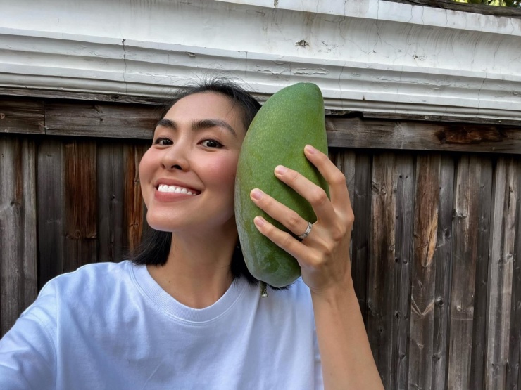 Vườn rau sạch trong biệt thự 500 m2 của Tăng Thanh Hà - 8