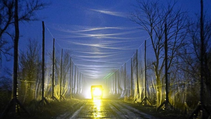 RIA Novosti/Stanislav Krasilnikov/en.iz.ru 