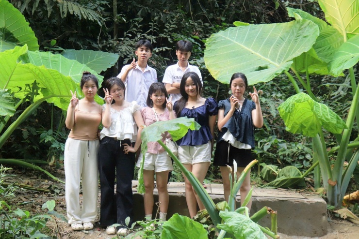 Trần Nghị