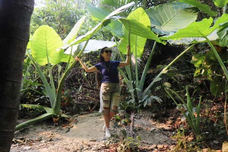 Trần Nghị