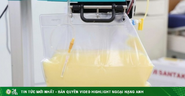 Mỡ máu cao gấp 20 lần, huyết tương đục như nước vo gạo