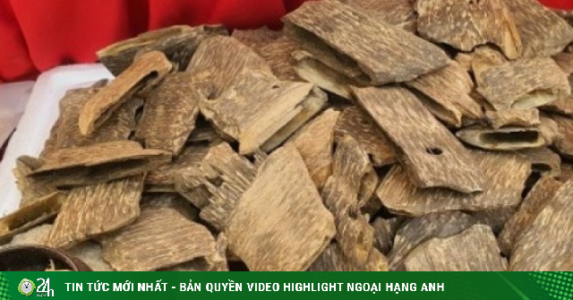 Loại gỗ vụn giá hàng chục triệu đồng/kg, khách vẫn tới tấp mua