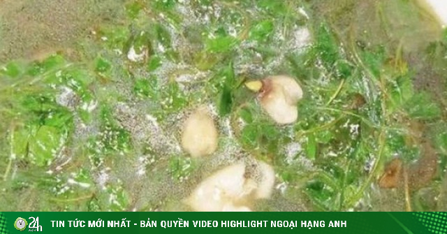 Loài rau mọc dại có tên rất lạ, giàu dinh dưỡng, phù hợp trong bữa cơm mùa hè