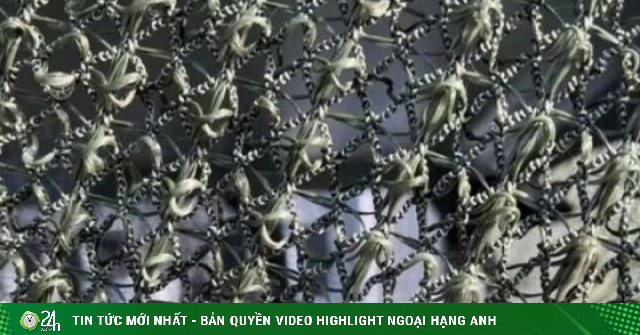 Lưới chống drone Darwin-Z Nga công nghệ ‘tự chữa lành’, thay đổi cuộc chơi phòng thủ