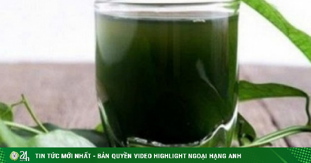 Muốn khỏe và ít mệt mỏi, đừng bỏ qua 8 thức uống này mỗi ngày