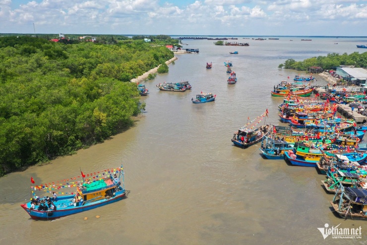 Thành phố cũng yêu cầu nhà đầu tư đảm bảo hài hòa giữa hàng trung chuyển và xuất nhập khẩu, tránh ảnh hưởng đến các cảng lân cận, đồng thời chú trọng bảo vệ hệ sinh thái đặc thù của Cần Giờ.