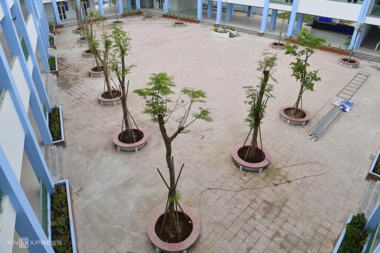 Trường tiểu học xây trên nền nghĩa trang Bình Hưng Hòa - 10