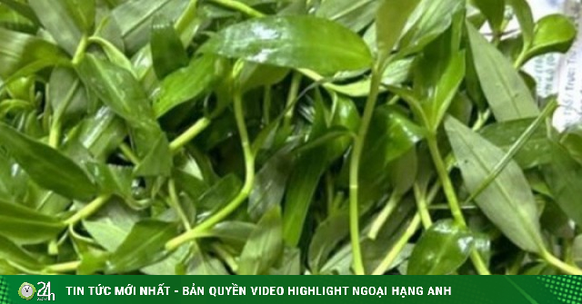 Loại cỏ dại mọc nhiều sau mưa, chế biến đủ món ngon giúp bổ phổi, giải nhiệt ngày hè tốt