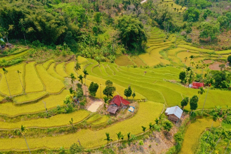 Mê mẩn ruộng bậc thang tuyệt đẹp ở Sơn Tây Thượng - 4
