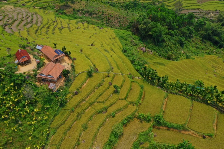 Mê mẩn ruộng bậc thang tuyệt đẹp ở Sơn Tây Thượng - 6