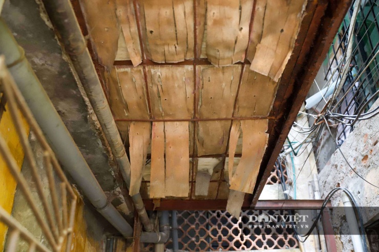 Tập thể Thanh Xuân Bắc cõng hàng nghìn bom nước trên mái - 12