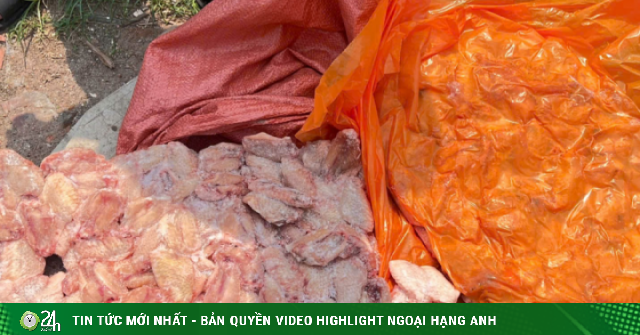 Gần 26 tấn gà, lợn bốc mùi bị phát hiện trong ba kho hàng gần biên giới