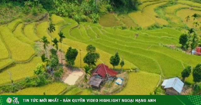 Mê mẩn ruộng bậc thang tuyệt đẹp ở Sơn Tây Thượng