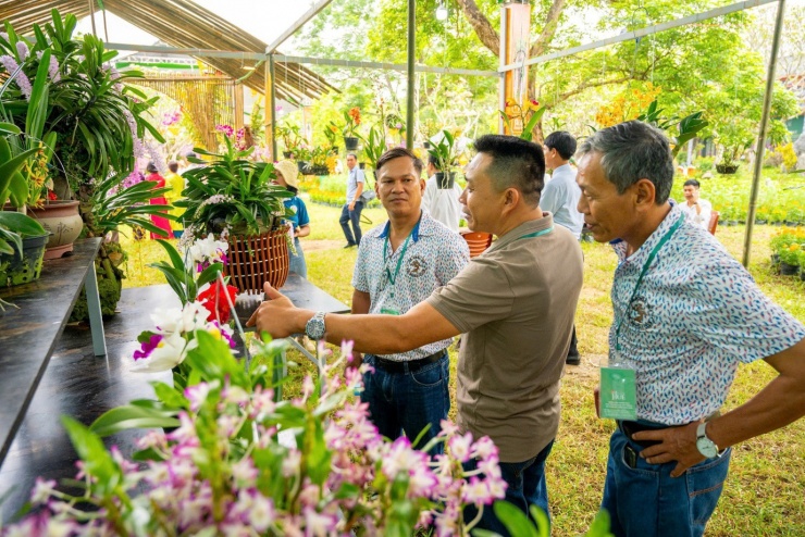 Vào chốn Hoàng cung, ngắm phong lan, cây kiểng, đá cảnh 3 miền - 5