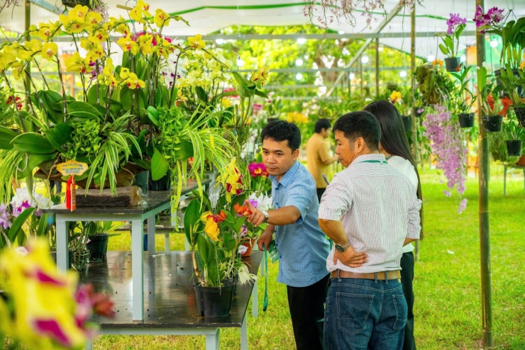 Vào chốn Hoàng cung, ngắm phong lan, cây kiểng, đá cảnh 3 miền - 6