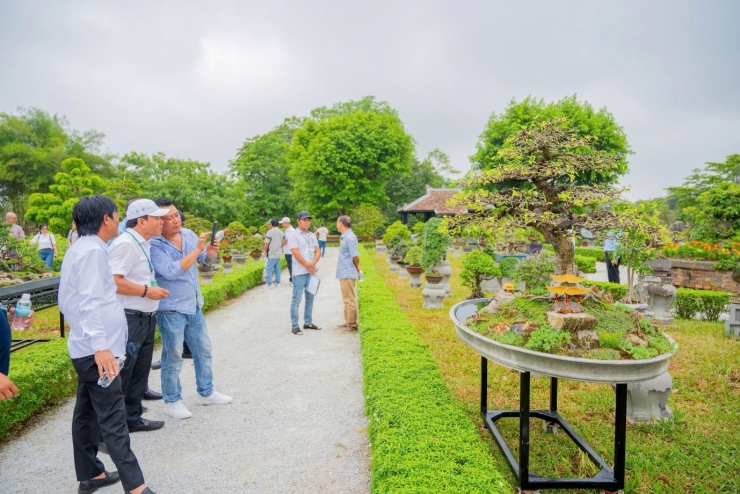 Vào chốn Hoàng cung, ngắm phong lan, cây kiểng, đá cảnh 3 miền - 8