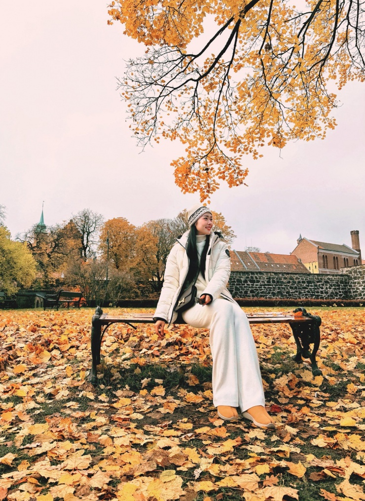 Kinh doanh 3 công ty, nhà 100m2 quận 7 và 4 phim trăm tỷ - 5