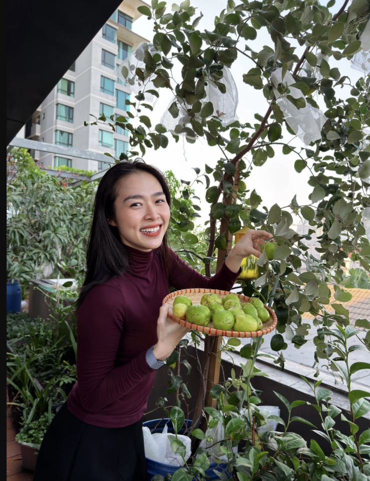 Kinh doanh 3 công ty, nhà 100m2 quận 7 và 4 phim trăm tỷ - 7