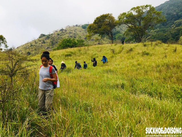 Hiện nay, Vườn quốc gia Núi Chúa đang dần được khai thác theo hướng du lịch sinh thái bền vững. Du khách đến đây không chỉ để ngắm cảnh mà còn có cơ hội tham gia các hoạt động như trekking, quan sát động vật hoang dã, khám phá đời sống của người dân địa phương.