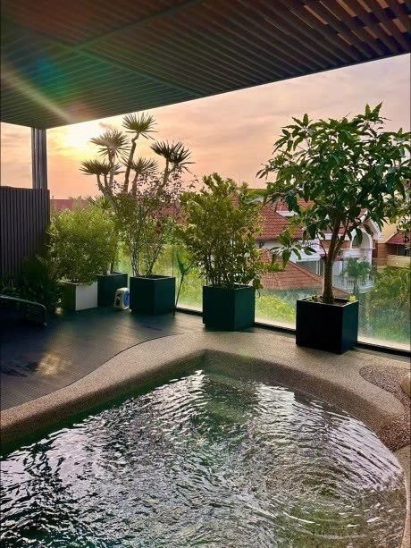 Kinh doanh 3 công ty, nhà 100m2 quận 7 và 4 phim trăm tỷ - 9