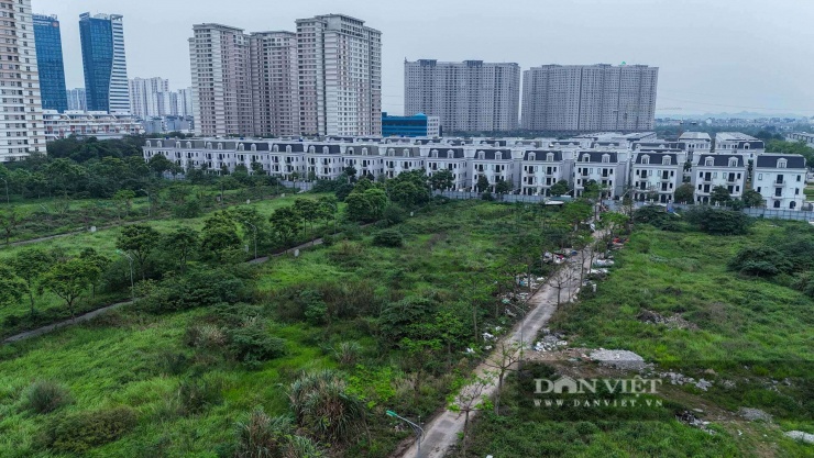 Theo giới thiệu, dự án có các tổ hợp khu chung cư cao cấp, khu biệt thự cao cấp, khu biệt thự song lập, trung tâm thương mại và phố chợ Đô Nghĩa và Bệnh viện đa khoa quốc tế.