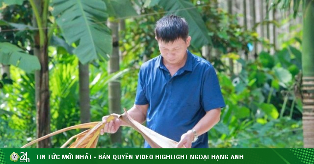 Vườn cây thẳng đứng như cột chống trời đang giúp một người Thanh Hóa thu tiền tỷ/năm, bẹ lá, quả, thân bán ra tiền hết