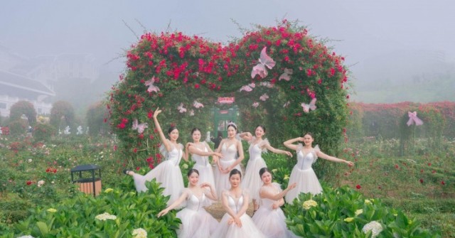 Lễ hội Hoa hồng Fansipan 2026 khai màn, hàng vạn du khách check-in bên triệu đoá hồng, vui bất tận từ sáng tới đêm