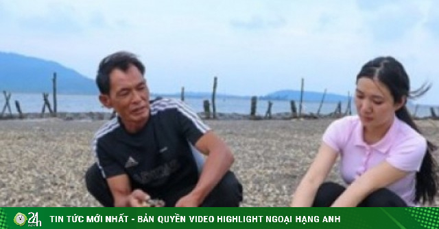 Ngao chết bất thường, gây thiệt hại nặng nề cho người nuôi ngao ở Hà Tĩnh