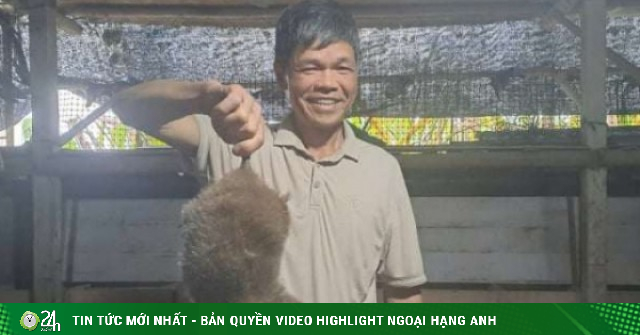 Con vật này xưa đào hang, nay nuôi lồng thành công,một người Thái Nguyên cứ bán là ra giá con đặc sản