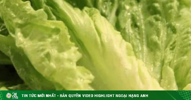 4 loại rau xanh hỗ trợ giải độc và bảo vệ gan