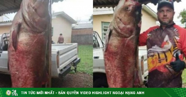 Clip: Người đàn ông câu được con cá chép khổng lồ nặng 68kg