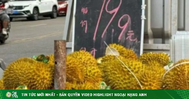 Sầu riêng nhập khẩu số lượng lớn khiến giá giảm nhanh ở Trung Quốc