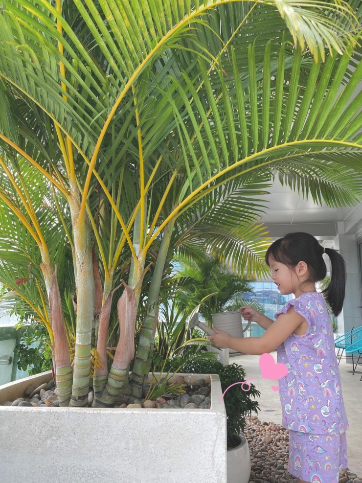 Do yêu thích sự thoáng đãng, Đặng Thu Thảo dành nhiều diện tích ban công để trồng hoa, tạo khu vườn nhỏ. Đây là nơi cô cùng các con chăm sóc cây, thư giãn mỗi khi rảnh, đồng thời gợi nhớ không gian vườn nhà quê ngoại ở Cà Mau (Bạc Liêu cũ).