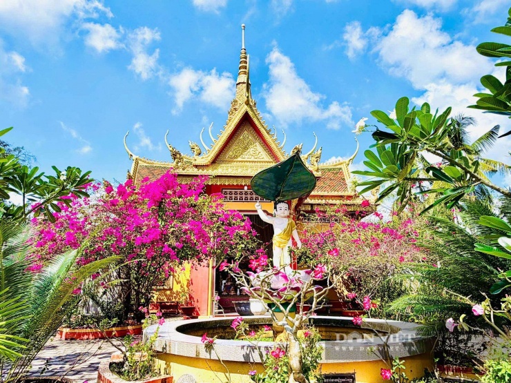 Kiến trúc mái chùa với các chi tiết chạm khắc, mái chùa mang đậm dấu ấn Phật giáo Nam tông Khmer với hình tượng long vân ngư, mũi cong vút và những đỉnh tháp nhọn vươn thẳng lên bầu trời xanh.