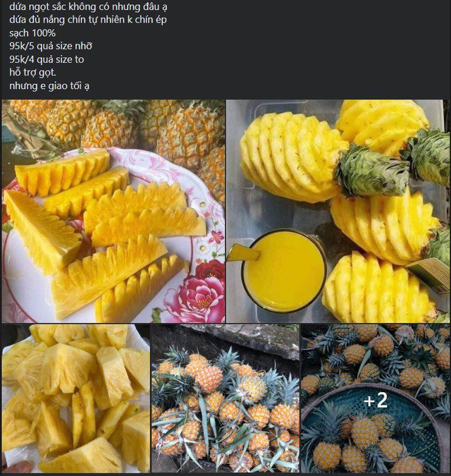 Tháng 4 là thời điểm vào mùa dứa, lúc này dứa ngọt và nhiều nước hơn.