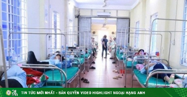 Phát hiện vi khuẩn Salmonella trong bánh mì gây ra vụ ngộ độc ở Nghệ An