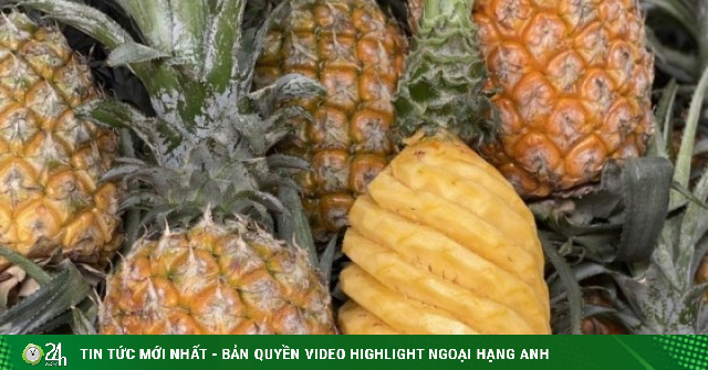 Một loại quả đang vào mùa bán đầy chợ Việt giá chỉ hơn chục nghìn đồng/quả, hương vị thơm ngon, tốt cho sức khỏe