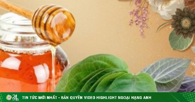 Lá mơ lông và mật ong: Công dụng bất ngờ khi dùng đúng cách