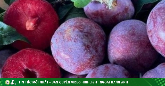 “Nữ hoàng trái cây” đang vào mùa, tưởng ăn vui lại bổ dưỡng đáng kinh ngạc