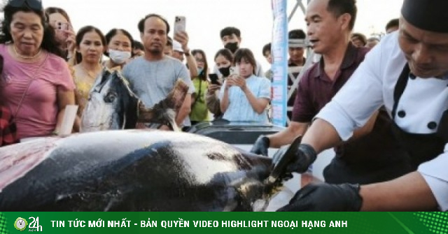 Mãn nhãn kỹ nghệ xẻ cá ngừ tại Tuy Hòa (Đắk Lắk), du khách xếp hàng chờ ăn tại chỗ