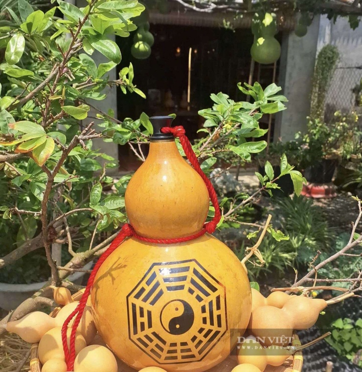 Trong đời sống tinh thần của người Việt, bầu hồ lô còn mang ý nghĩa phong thủy sâu sắc, tượng trưng cho sự may mắn, sức khỏe và tài lộc. Ảnh: Vân Nguyễn