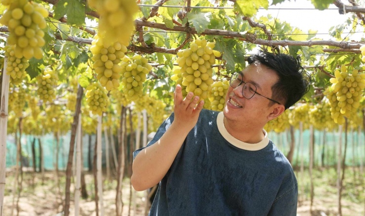 Thái Sơn Ngọc