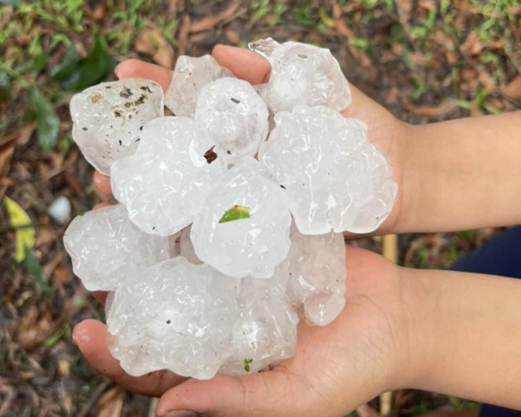 Th.Trà
