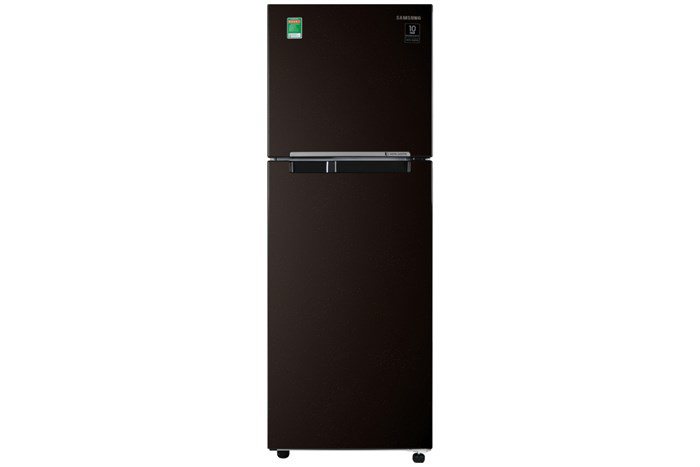 Tủ lạnh Samsung RT22M4032BY/SV.