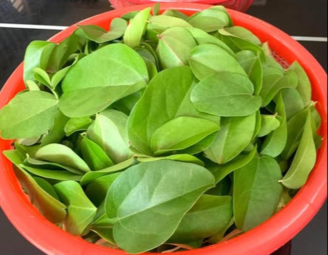 Loại lá trồng làm cảnh, nấu thành món giải nhiệt, mát gan ngày hè - 2